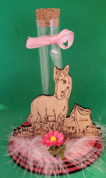 ../Images/3ballotin rose cheval2023.jpg